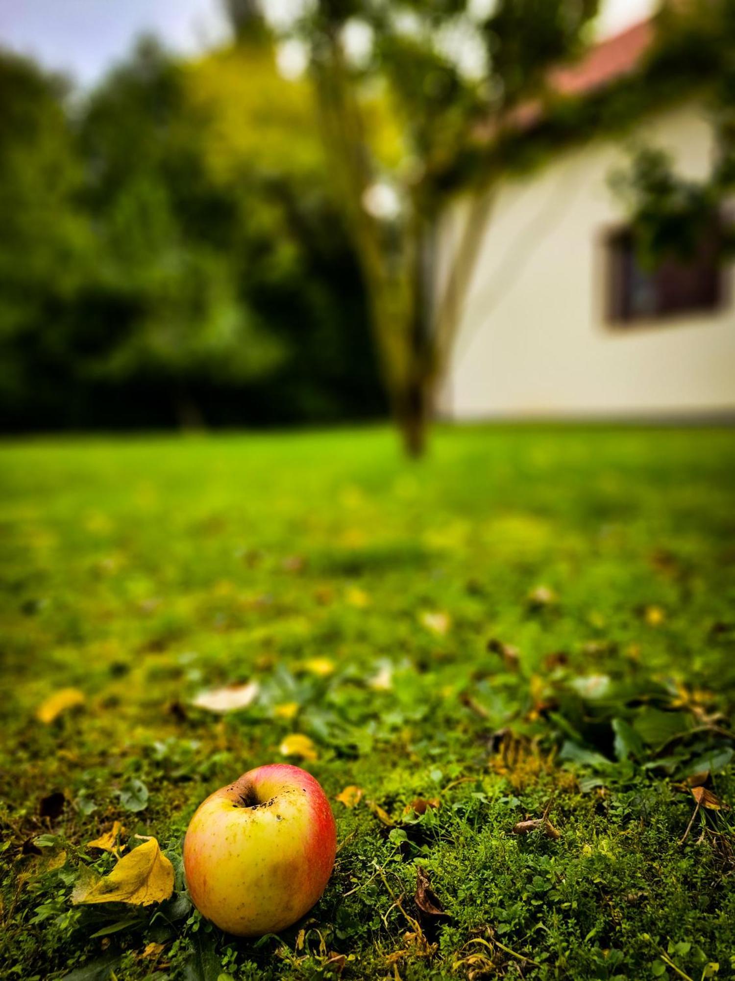 Gościniec Gryszczeniówka Wargowo Exterior foto