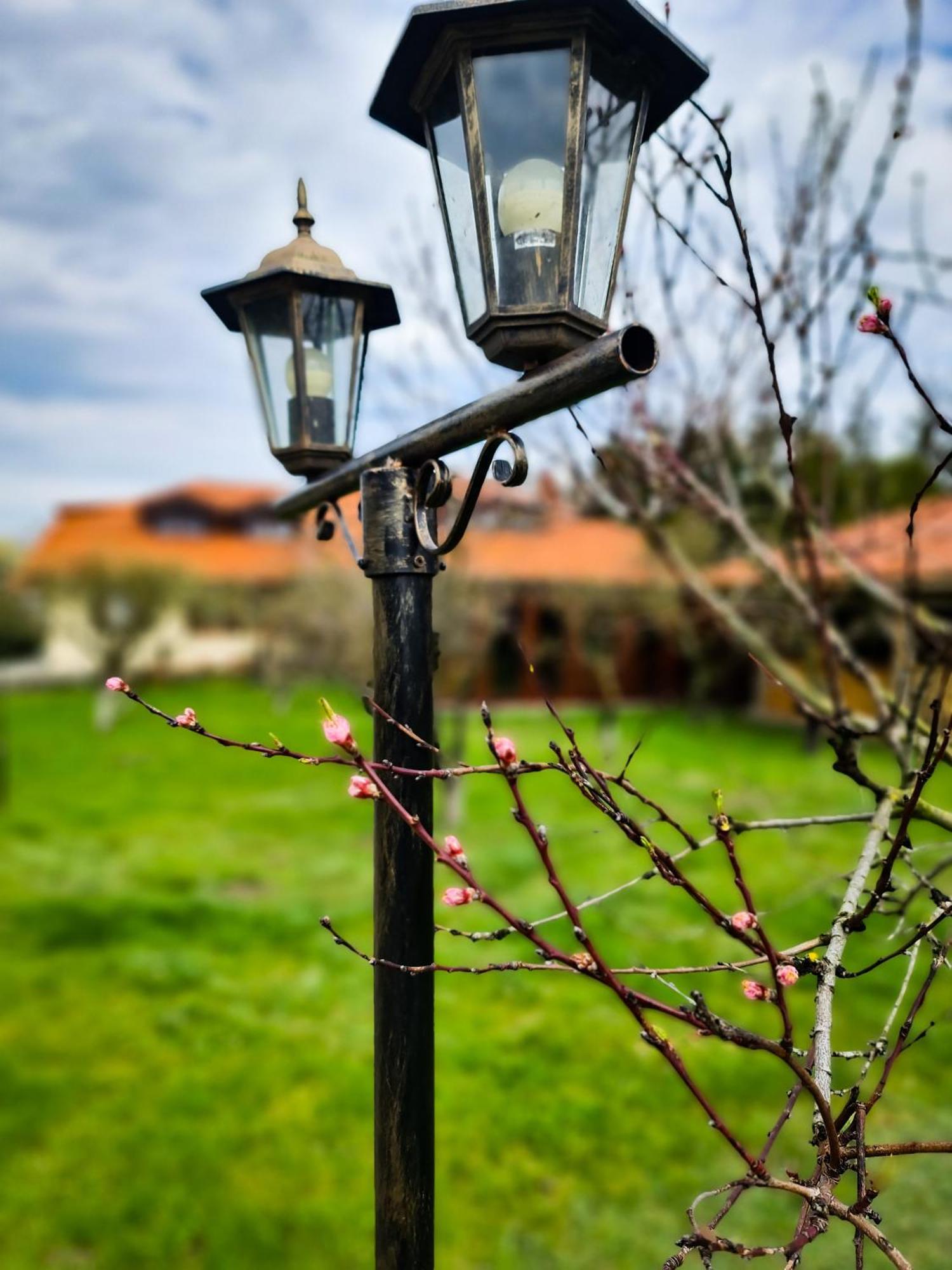 Gościniec Gryszczeniówka Wargowo Exterior foto