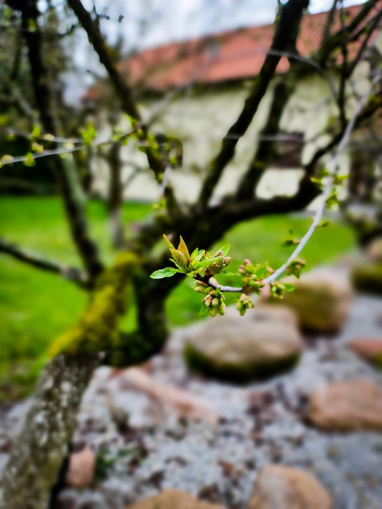 Gościniec Gryszczeniówka Wargowo Exterior foto