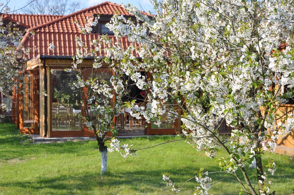 Gościniec Gryszczeniówka Wargowo Exterior foto